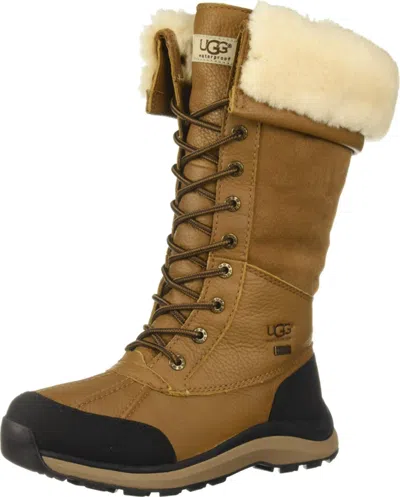 Pre-owned Ugg Women's Adirondack Boot Tall Iii Boot, Chestnut In Brown