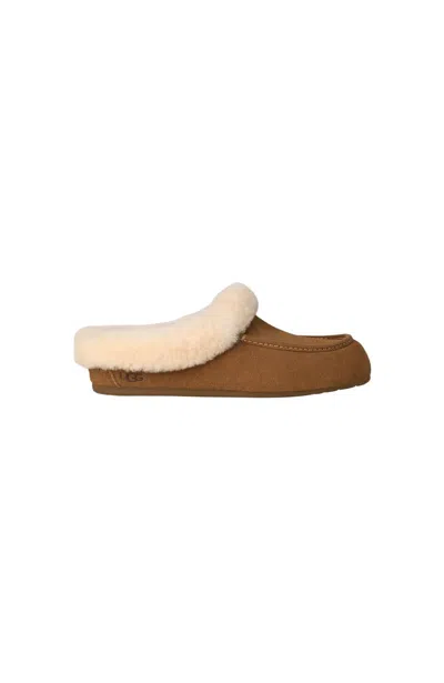 Ugg Women's Ansley Mule In Chestnut In Brown
