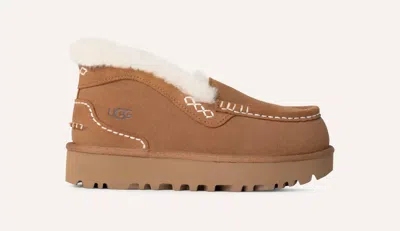 UGG WOMEN'S ANSLEY PARC SHOE IN CHESTNUT