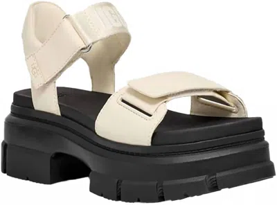 Ugg Women's Ashton Ankle Sandal In Jasmine In Multi