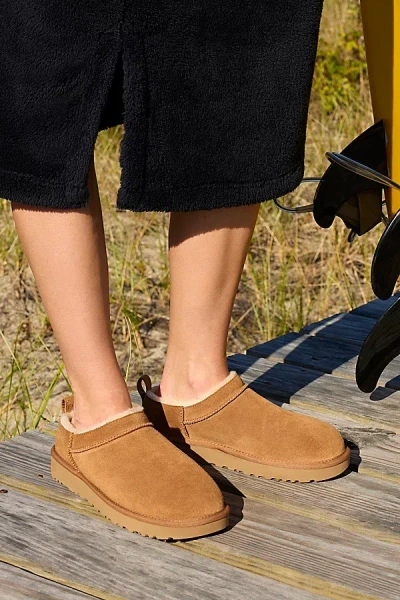 Ugg Women's Classic Micro Mini Suede Boot In Chestnut, Women's At Urban Outfitters In Brown