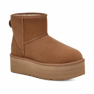 Ugg Women's Classic Mini Platform Boot In Chestnut In Pink