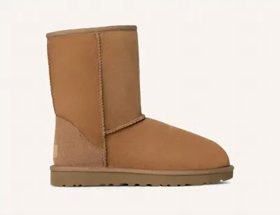 Ugg Women's Classic Short Ii Boot In Chesnut In Brown