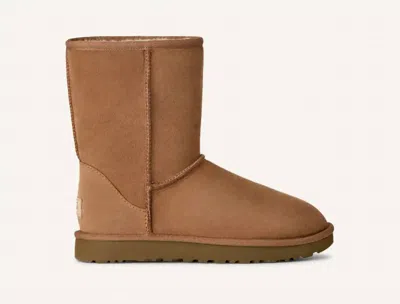 Ugg Women's Classic Short Ii Boots In Chestnut In Brown