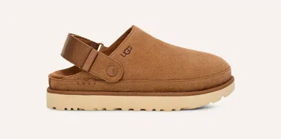 Ugg Women Goldenstar Clog In Chestnut In Brown