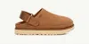 Ugg Goldenstar Suede Flatform Clogs In Brown