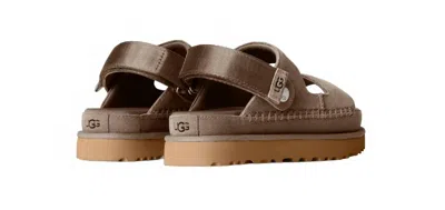 Ugg Women's Goldenstar Glide In Smoke Plume In Brown