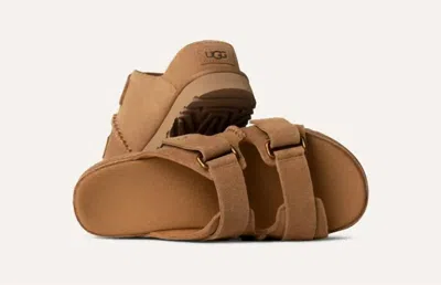 Ugg Women's Goldenstar Hi Slide In Chestnut