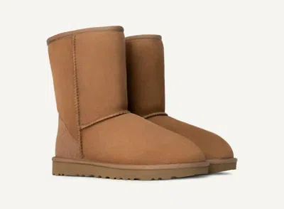 Ugg Women's Short Ii Ankle Boot In Chestnut In Pink