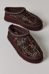 Ugg Tazz Caspian Leopard-print Platform Mules In Brown