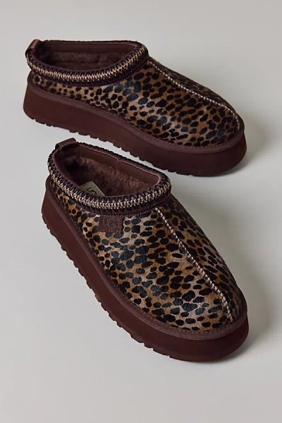 UGG WOMEN'S TASMAN CASPIAN SLIPPER IN BURNT CEDAR, WOMEN'S AT URBAN OUTFITTERS