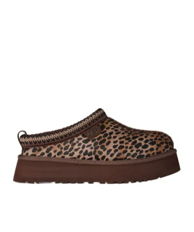 UGG WOMEN'S TAZZ CASPIAN