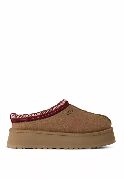 Ugg Women's Tazz Ii Slipper In Chestnut In Brown