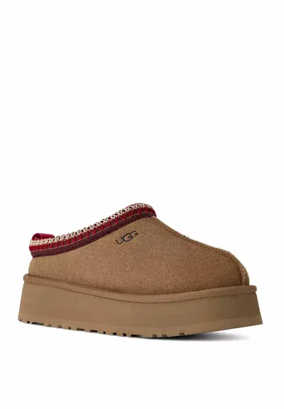 Ugg Tazz Embroidered Shearling Platform Slippers In Brown