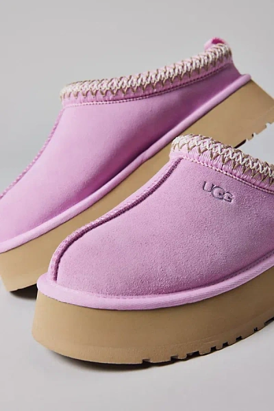 Ugg Women's Tazz Slipper In Pink Diamond, Women's At Urban Outfitters In Purple