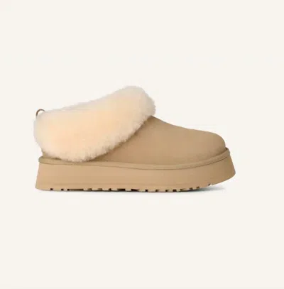 Ugg Women's Tazzelle Slipper In Mustard Seed In Multi