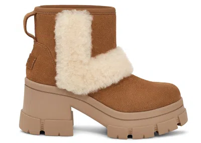 Pre-owned Ugg Women's  Brooklyn Sunburst Heeled Boot Sneakers In Chestnut