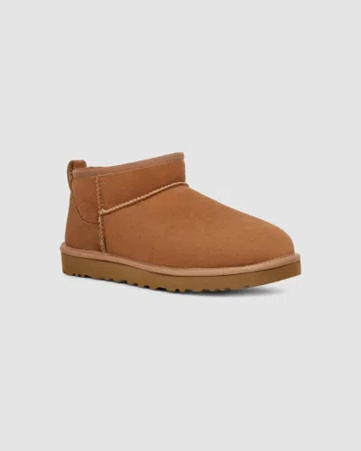 Ugg Women's Ultra Mini Ii Boot In Chestnut In Brown