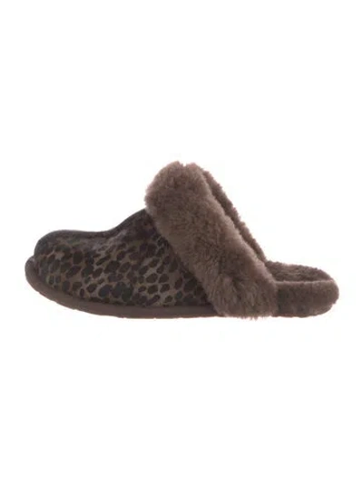 Pre-owned Ugg Wool Animal Print Mules In Brown