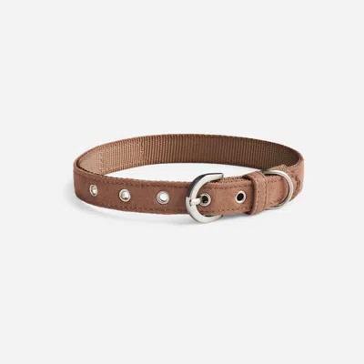 Ugg ® Wylie Collar Medium In Chestnut In Brown