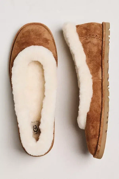 Ugg Zora Ballet Flats In Beige