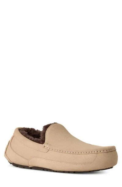 Ugg (r) Ascot Loafer Slipper In Gold