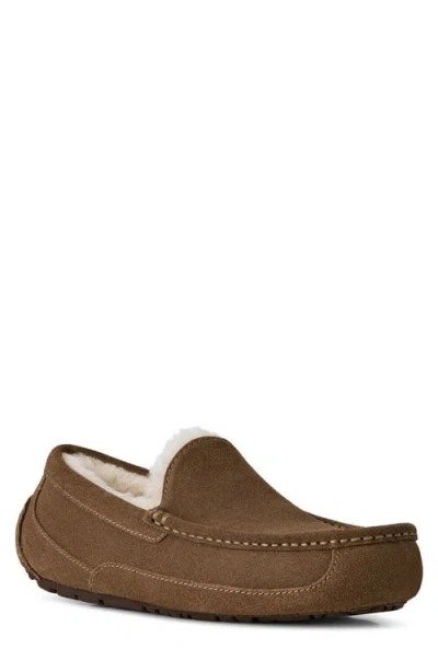 Ugg Ascot Men's Slippers Light Bronze: 10 D - Medium In Brown