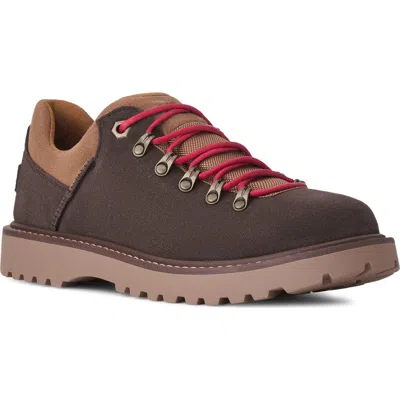 Ugg (r) Birch Hiker Shoe In Brown