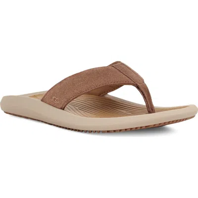 Ugg (r) Brookside Ii Flip Flop In Chestnut