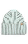 Ugg(r) Chunky Plaited Beanie