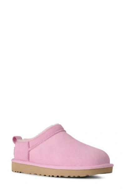 Ugg (r) Classic Micro Genuine Shearling Lined Slip-on In Pink