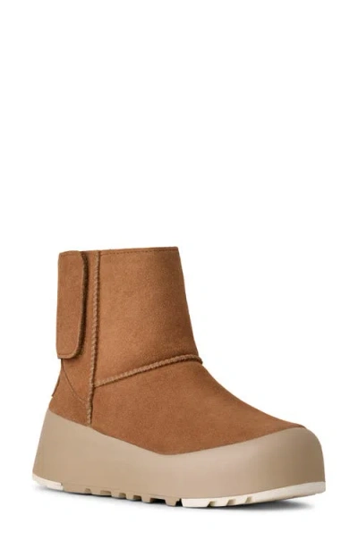 Ugg (r) Classic Streetscape Bootie