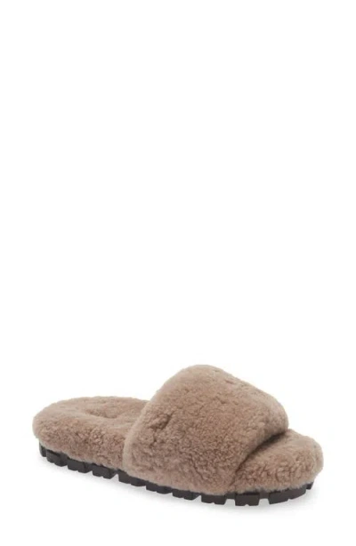 Ugg (r) Cozetta Curly Genuine Shearling Slide Slipper In Brown
