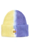 Ugg(r) Dip Dye Cotton Beanie In Lupine Multi