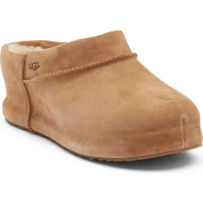 Ugg (r) Enwrap Genuine Shearling Lined Leather Clog In Brown