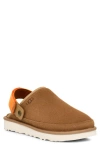 Ugg(r) Goldencoast Ii Clog In Chestnut
