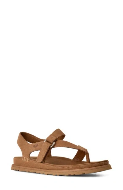 Ugg (r) Goldengaze Toe Post Sandal In Brown