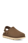 Ugg(r) Goldenstar Clog In Hickory