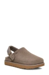 Ugg(r) Goldenstar Clog In Smoke Plume