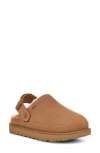 Ugg(r) Goldenstar Cozy Clog In Chestnut