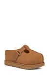 Ugg(r) Goldenstar Platform Clog In Chestnut