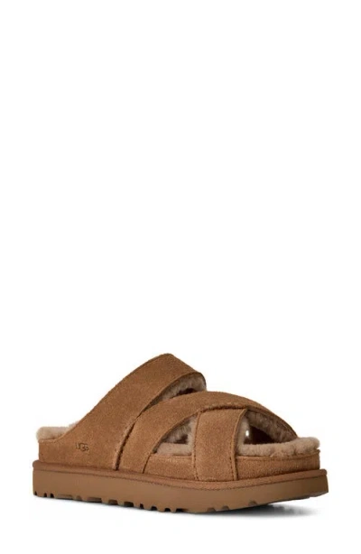 Ugg (r) Greenport Genuine Shearling Lined Cross Strap Slide Sandal In Brown