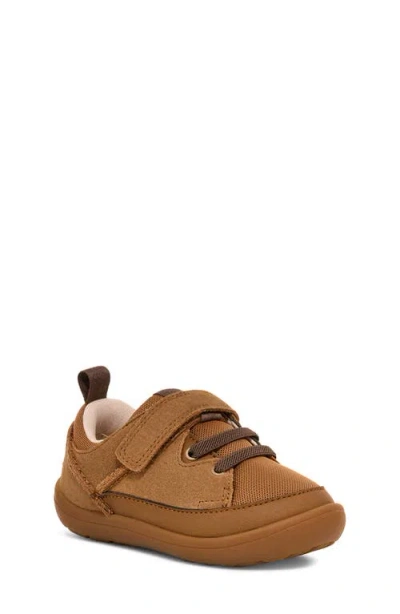 Ugg(r) Kids' Adventurer Trainer In Brown