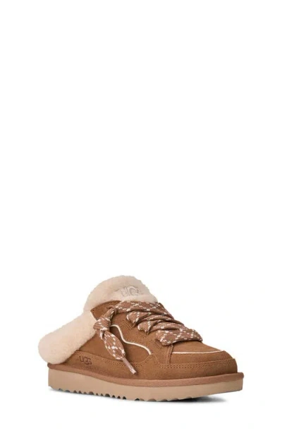 Ugg (r) Kids' Lowmel Pure™ Lined Lace-up Mule In Brown