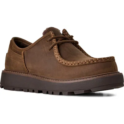 Ugg (r) Loften Chukka Shoe In Brown