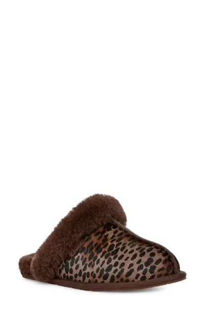 Ugg(r) Scuffette Genuine Calf Hair Slipper In Burnt Cedar