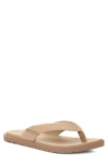 Ugg(r) Seaside Ii Flip Flop In Mustard Seed