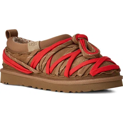 Ugg (r) Tasman Genuine Shearling Lined Lace Slippers In Brown