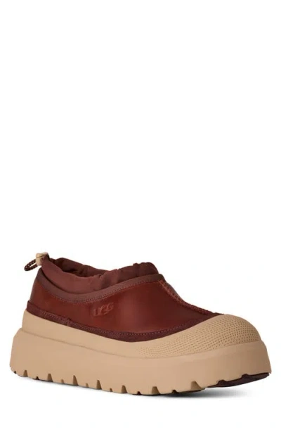 Ugg(r) Tasman Waterproof Hybrid Slip-on In Brown