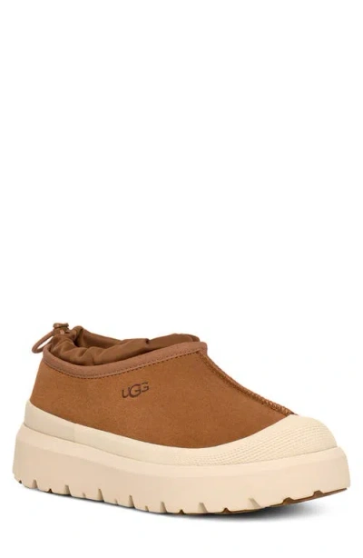 Ugg Tasman Weather Hybrid Sneakers In Brown